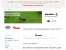 Tablet Screenshot of apchem.pl